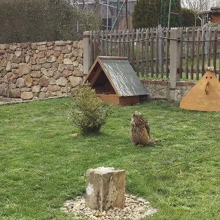 Und Falknerei An Der Alten Schmiede 3*